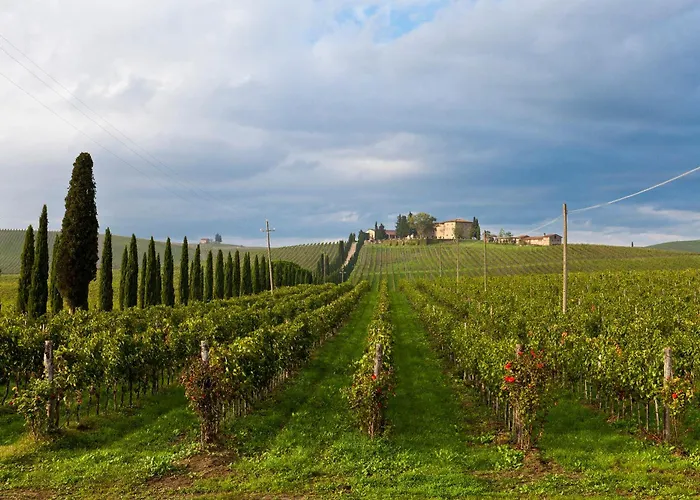 Agriturismo Casale Dello Sparviero